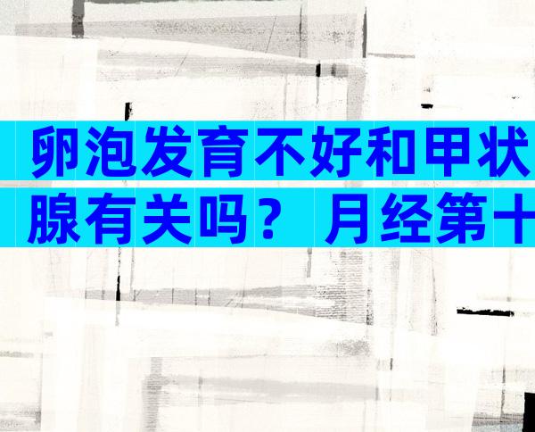 卵泡发育不好和甲状腺有关吗？ 月经第十天卵泡多大、内膜多厚？